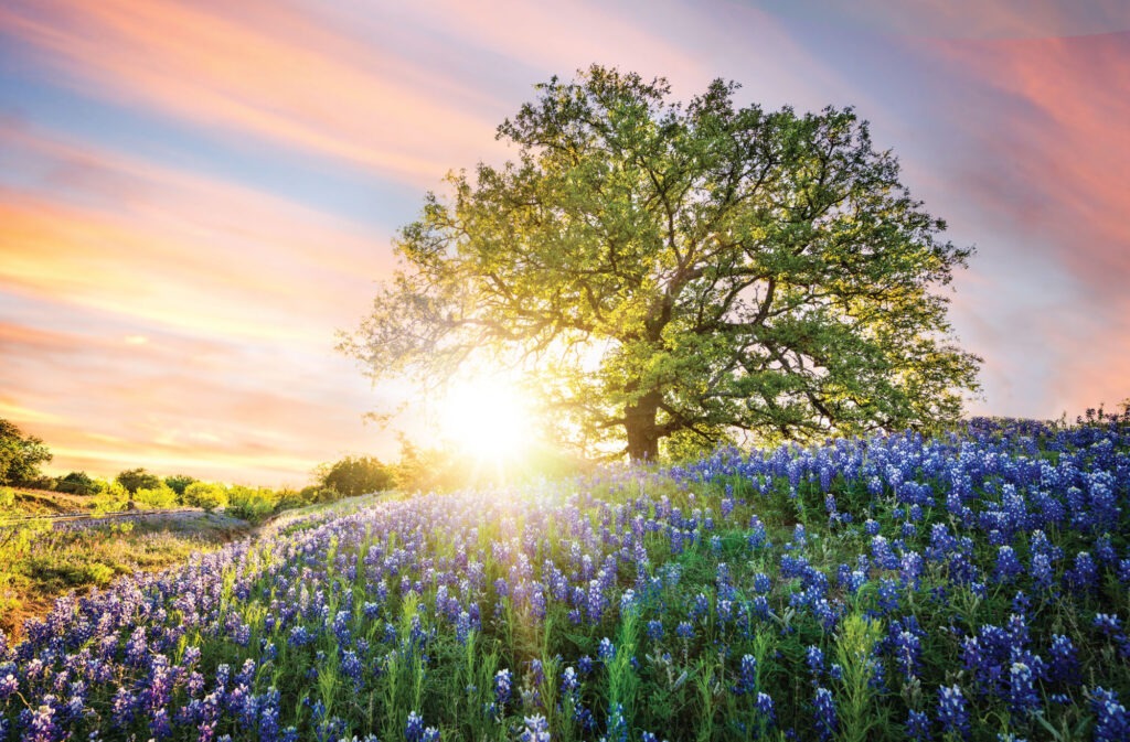 Inpatient Psychiatric Treatment | MiraVista Behavioral Health Center