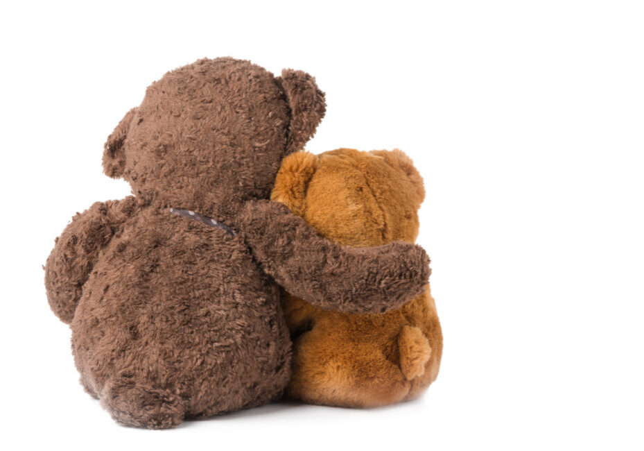 two teddy bear hugging isolated on white background, Concept about love and relationship